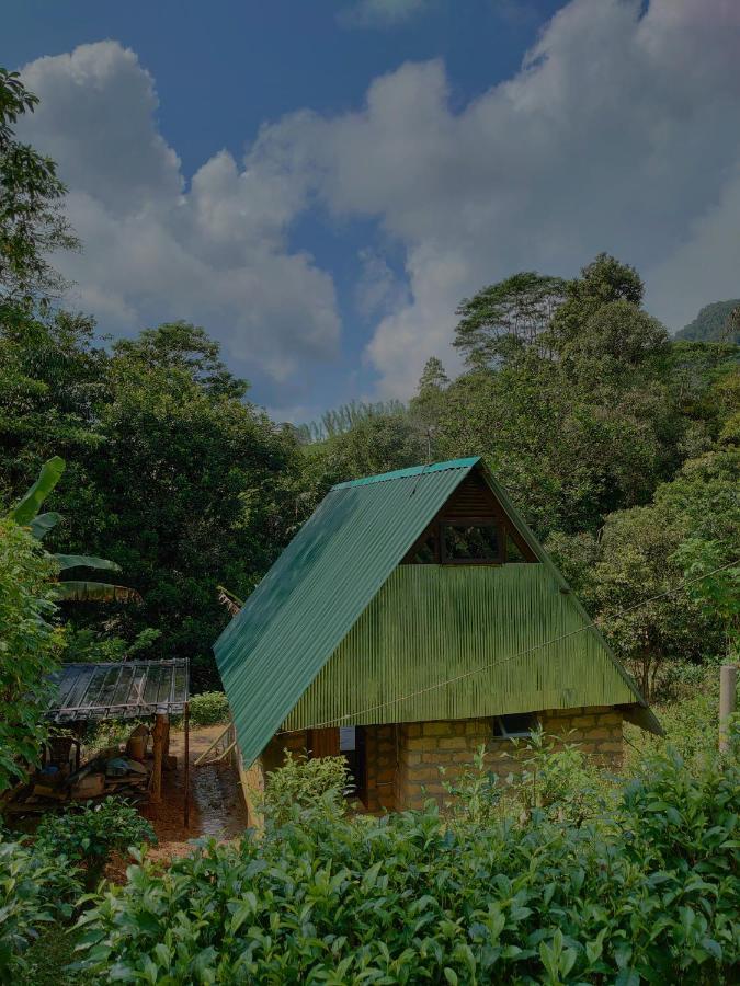 Rainforest Cabin Deniyaya Esterno foto