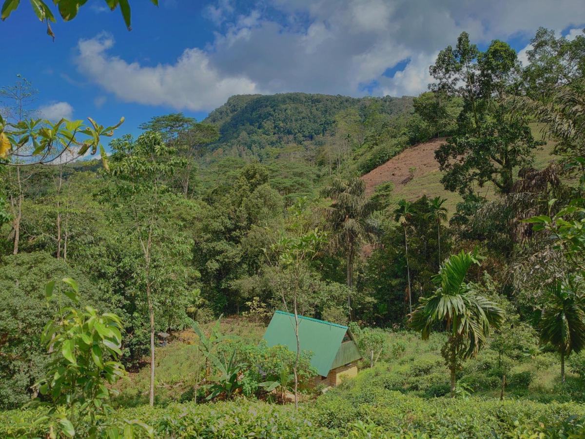 Rainforest Cabin Deniyaya Esterno foto