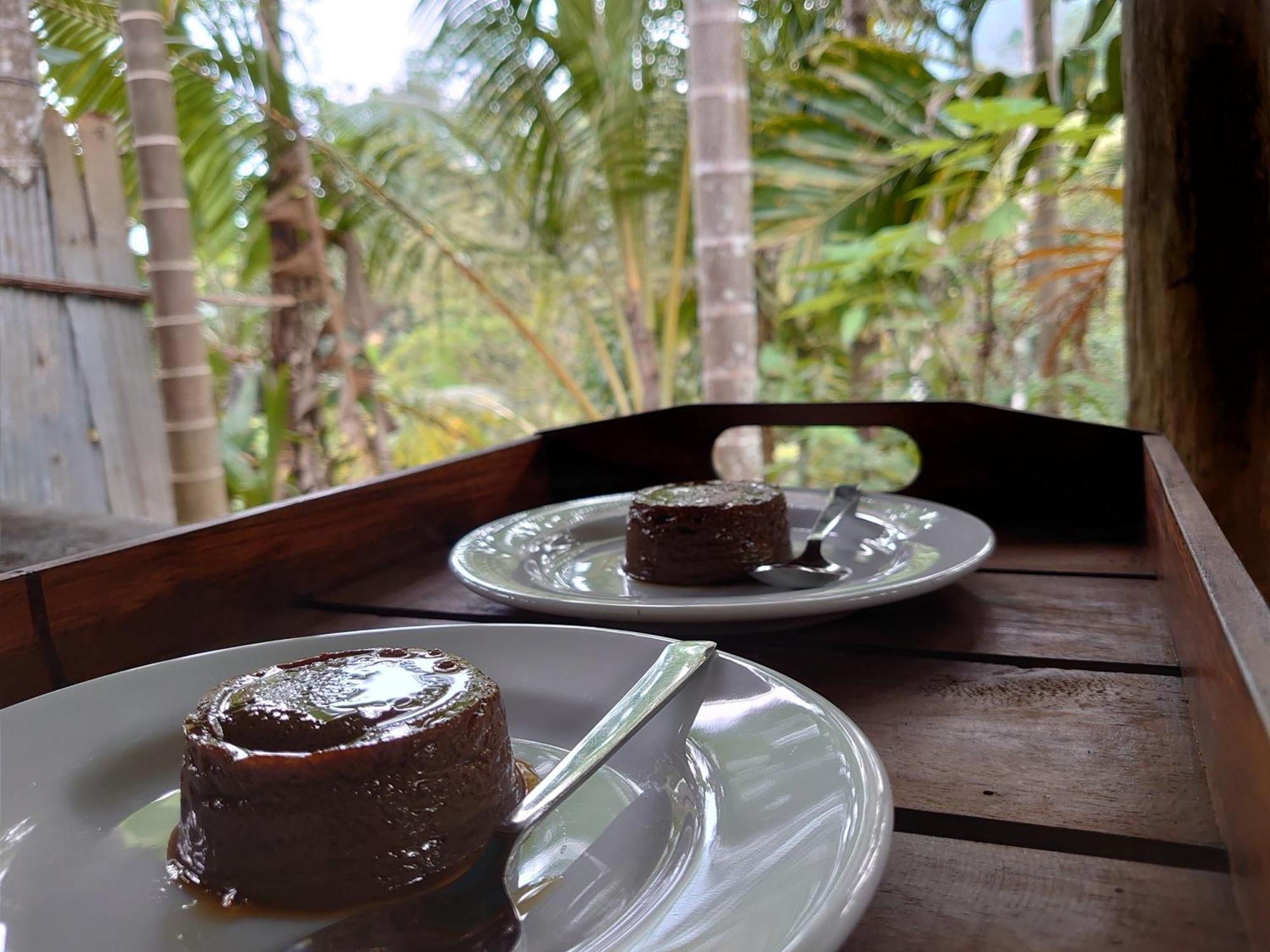 Rainforest Cabin Deniyaya Esterno foto
