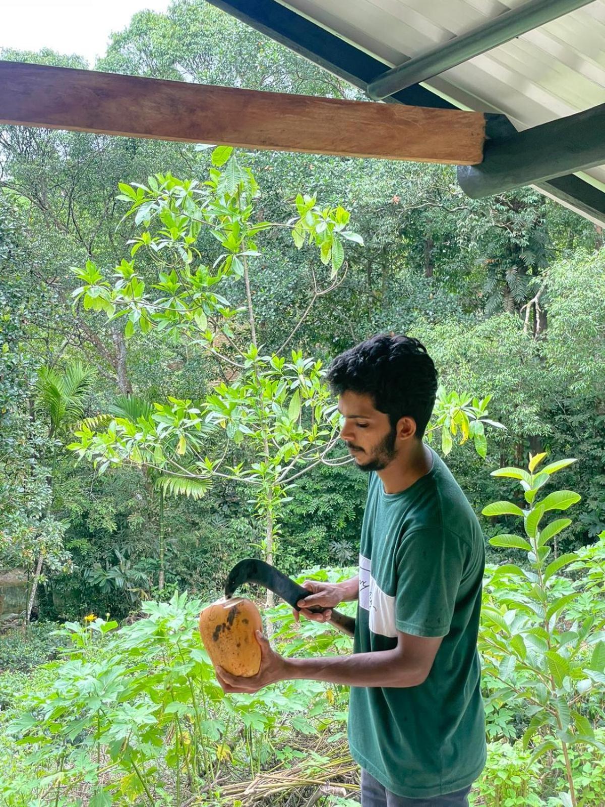 Rainforest Cabin Deniyaya Esterno foto