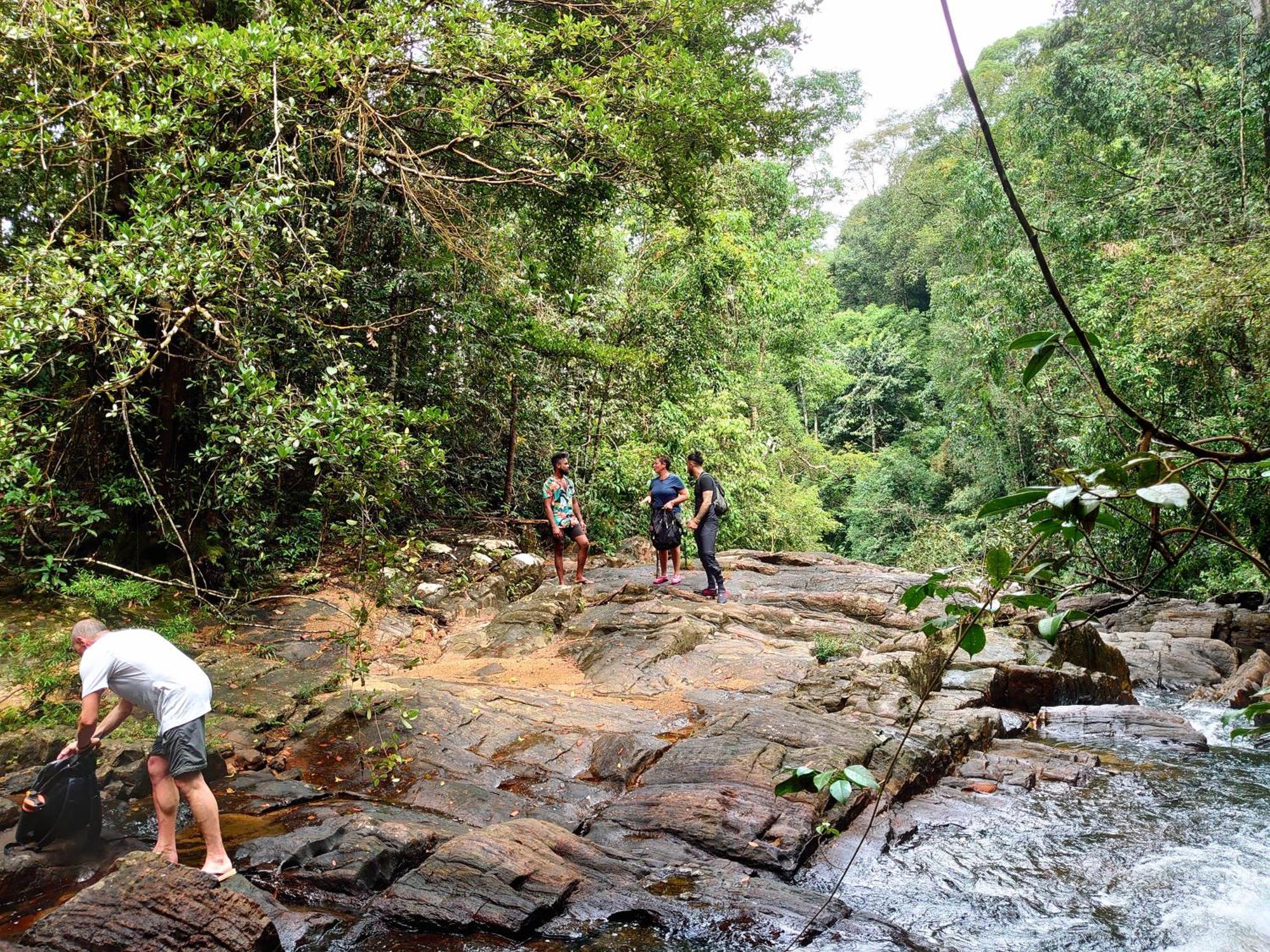 Rainforest Cabin Deniyaya Esterno foto