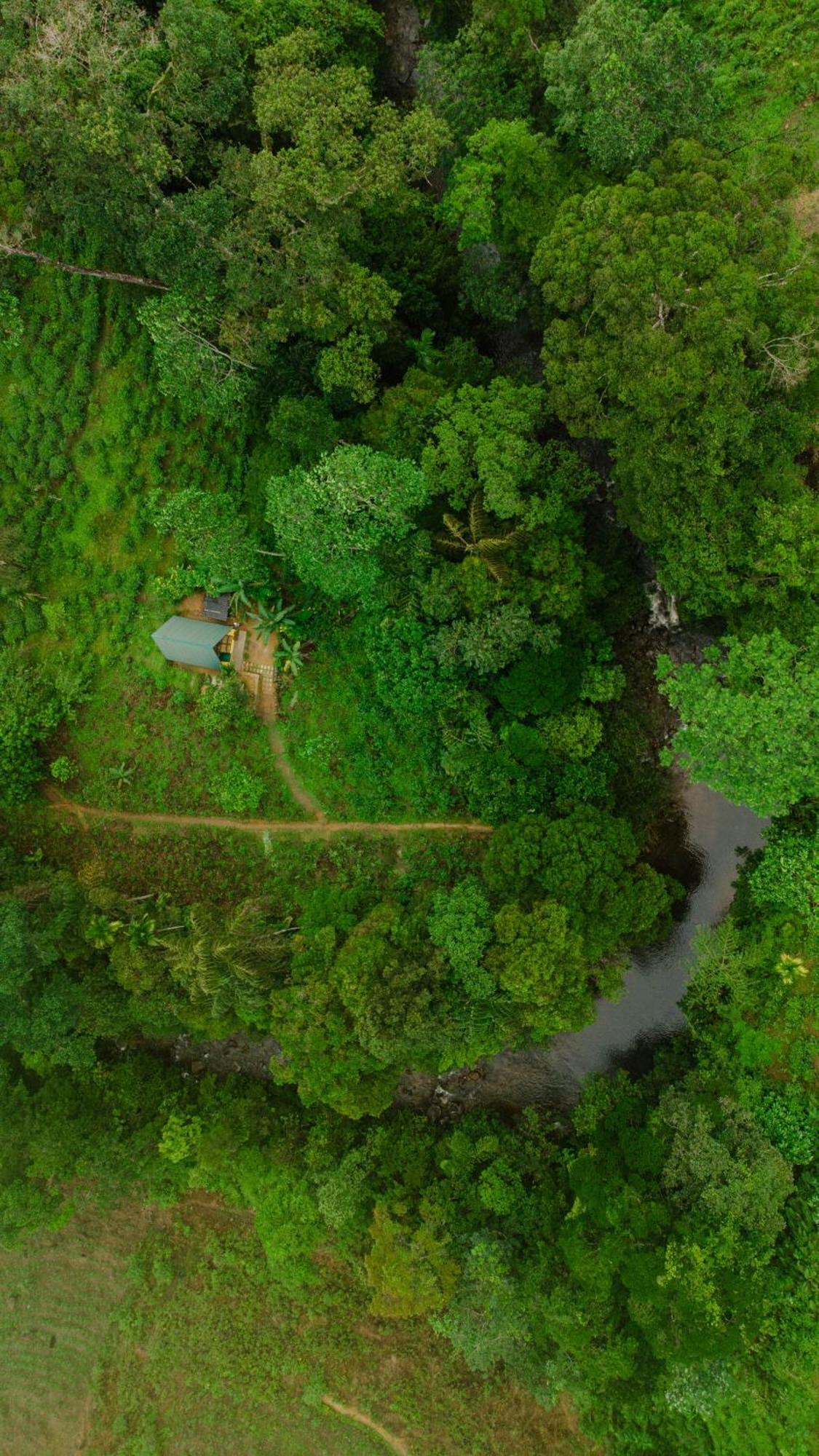 Rainforest Cabin Deniyaya Esterno foto