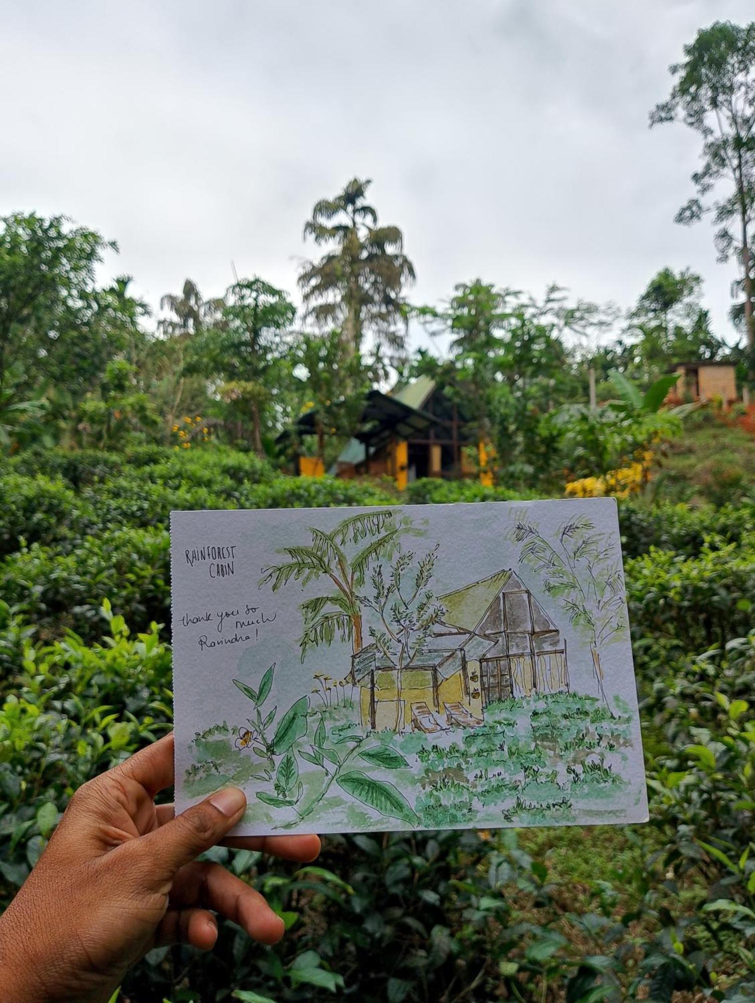 Rainforest Cabin Deniyaya Esterno foto