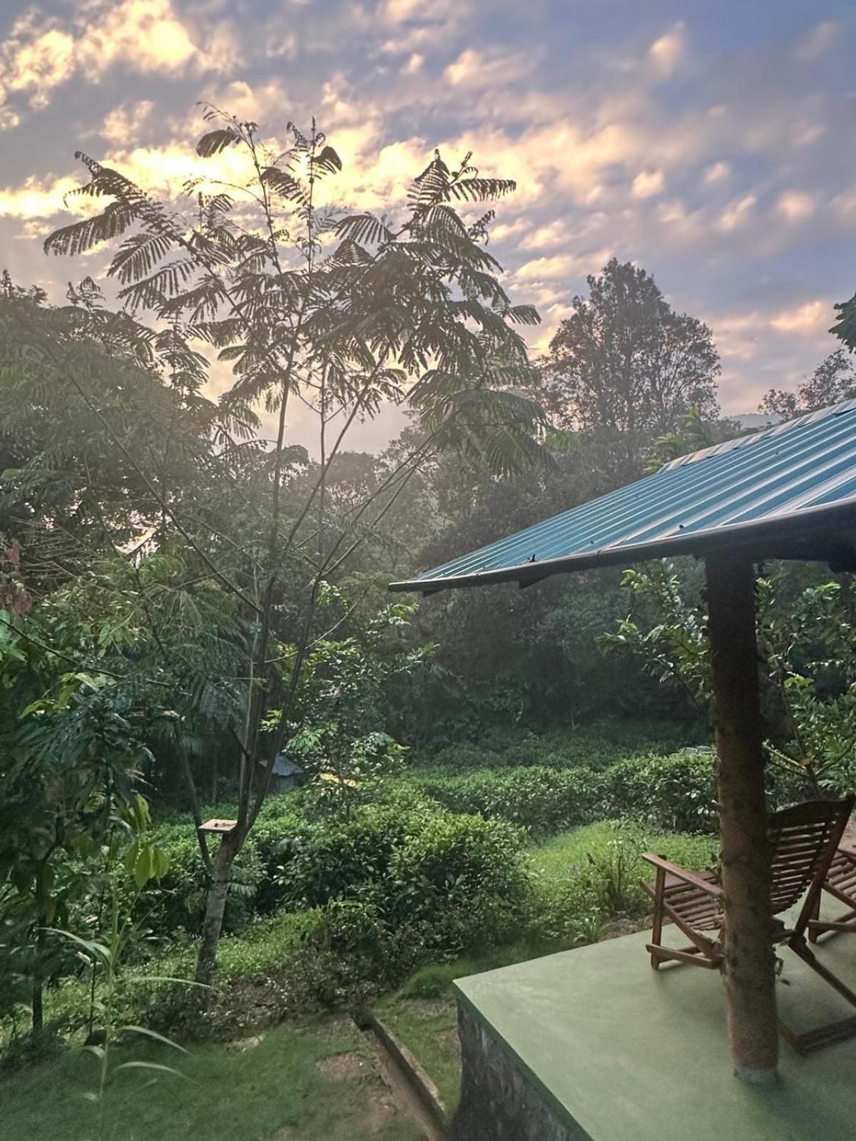 Rainforest Cabin Deniyaya Esterno foto